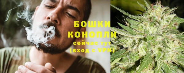 кокс Богородицк