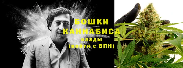 2c-b Богородск