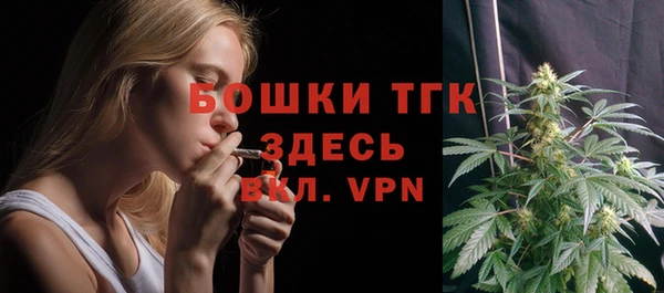 кокс Богородицк